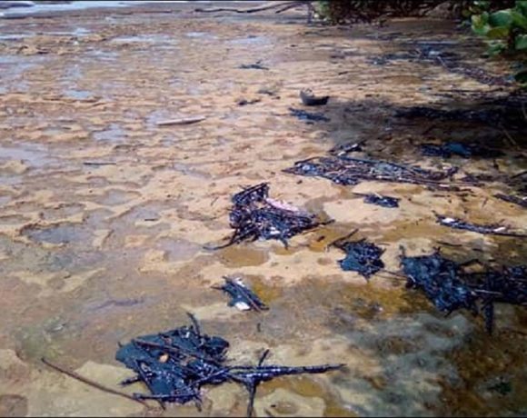 Des galettes de gazoil sur les plages