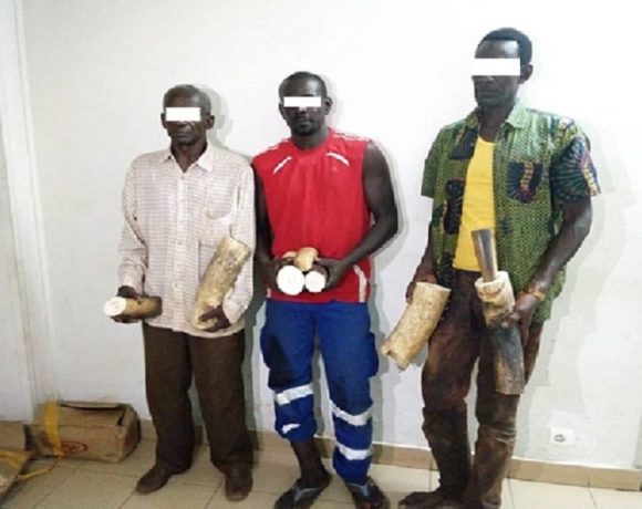 Trois sénégalais arrêtés à Moanda